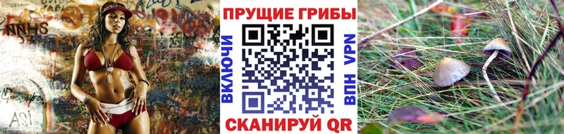 Купить где  Шенкурск  Псилоцибиновые грибы ЛСД 